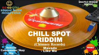 Chill Spot Riddim Mix March 2012 Chimney Records [upl. by Aile801]