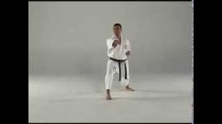 1st Kata  Taigyoku Shodan [upl. by Yehtomit349]