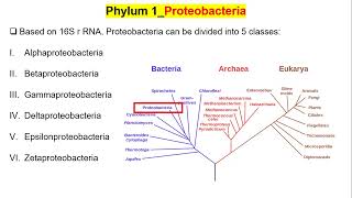 Lecture 11 Unit 4 Diversity of Proteobacteria BIOL 322 [upl. by Nananne]