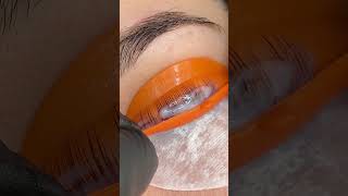 elleebana lash lift🧡 lashlifting lashliftandtint lashliftkit lashliftprocess lashlifttutorial [upl. by Rhodia231]