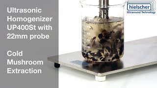 Ultrasonic Extraction of Mushrooms  Hielscher Ultrasonics 400 Watts Sonicator [upl. by Assiran]