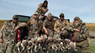 6 Man Limit Of Ducks In The Field WITH NO CRAZY FAKE THUMBNAIL [upl. by Licna]