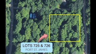 TBD Tamarack Trail LOTS 725 amp 726 Beaver Island MI  475102 [upl. by Ihpen]