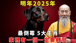 明年2025年最倒霉的五大生肖，2025這五个個生肖要小心了，家裡有一個一定要轉發，在忙再有錢也要看看【禪語明心】生肖 運勢 風水 財運 生肖運勢 生肖運程 運勢 [upl. by Weinshienk]