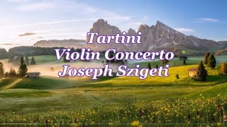 タルティーニ：ヴァイオリン協奏曲ニ長調 Tartini：Violin Concerto in D minor [upl. by Ainahs]