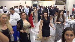 Wedding beautiful women dancing [upl. by Ernestus]