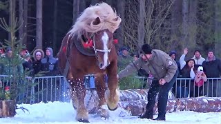 Istebna XX zimowe Zawody Furmanów2 [upl. by Henley]