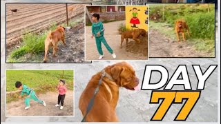 100 days vlogging challenge  Day  77 DakshMax [upl. by Eimmas]