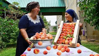 Making Delicious Peach Recipes  Calm Village Life [upl. by Atnoid]