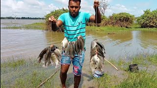 Wowකැලේ වැවෙන් අල්ලපු කොරළිSuper fish hunting with hook fishing 🎣 [upl. by Ratna]