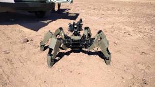 Orwell the Hexapod Robot [upl. by Annocahs]