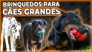 Cinco MELHORES BRINQUEDOS para cães de GRANDE PORTE e destruidores brinquedosparacaes TOP 05 [upl. by Kilian]