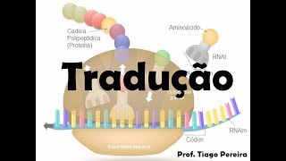 Tradução gênica  Paródia  Prof Tiago Pereira [upl. by Ydasahc30]