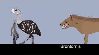 Cenozoic Beast Size Comparison Mammals With Music [upl. by Lenhard]