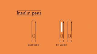 Insulin Pen Introduction [upl. by Malliw]