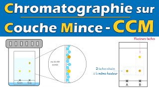 CCM 🧪 Chromatographie sur Couche Mince  Physique Chimie  Lycée [upl. by Aneelak]