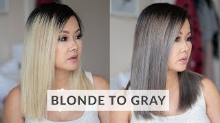 Blonde to Gray with LOréal Dialight [upl. by Bez]