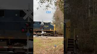 CSX intermodal at herring rd in newnan [upl. by Lewak20]