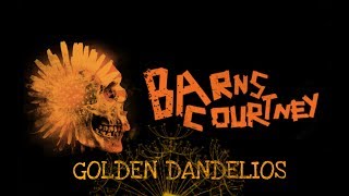 Barns Courtney  Golden Dandelions  Lyrics [upl. by Saber]