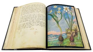 🇬🇧🍃Mattioli’s Dioscorides illustrated by Cibo c156484 Renaissance illuminated medical manuscript [upl. by Panaggio155]