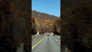 AUTUMN IN USA  PENNSYLVANIA shorts usa travel driving BLINDGHOST555 [upl. by Benzel386]