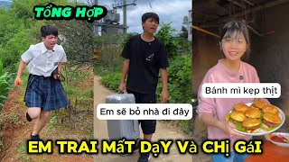 TỔNG HỢP Em Trai Mất Dạy Ăn Trộm Dưa Hấu Làm Bánh Sinh Nhật Tặng Chị Gái  Siêu Vui NhộnTẬP 2 [upl. by Hourigan]