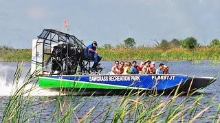 Florida Everglades Airboat Adventure and Wildlife Encounter [upl. by Erbua916]