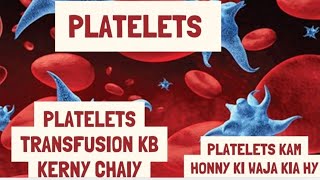 What is the PLATELETs and Function  PLATELETS kB Transfusion kerny chaiy CRITICAL CONCEPT [upl. by Gio]