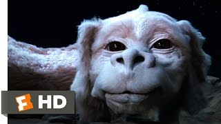 The Neverending Story 410 Movie CLIP  Falkor the Luck Dragon 1984 HD [upl. by Nyahs]