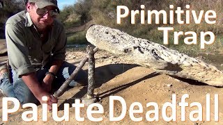 Paiute Deadfall Trap 101 Primitive Survival Technology [upl. by Ohl]