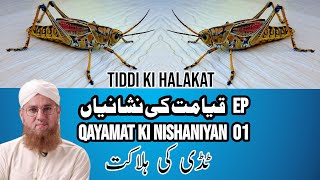 Tiddion Ki Halakat  Web Series Qayamat Ki Nishaniyan  Episode 01  Abdul Habib Attari [upl. by Amrac848]