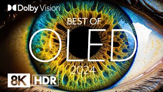 BEST OLED 2024  DOLBY VISION® 8K HDR [upl. by Enilesor]