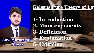 Pure theory of Law by Hans Kelsen  Grundnorm Basic Norm Video Lecture in Urdu \ Hindi [upl. by Roche743]