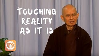 Touching Reality as It Is  Thich Nhat Hanh short teaching video [upl. by Londoner614]