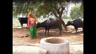 Gaon Kisan  Information related to Biogas plant [upl. by Enaitsirhc]