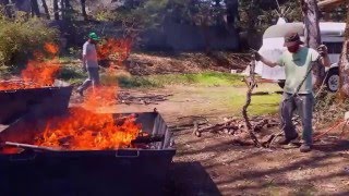 Making biochar with the Oregon Kiln [upl. by Modla]