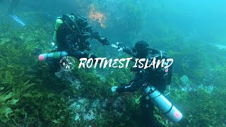 Rebreather Training at Rottnest Island Western Australia [upl. by Leiand586]