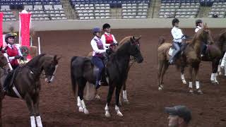 20231105 KM WTC Equitation 14 15 Finals Group [upl. by Justen]