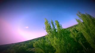 Tree SurfingFPV [upl. by Ardnuaek]