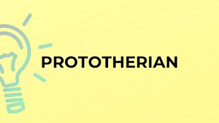 What is the meaning of the word PROTOTHERIAN [upl. by Guimond]