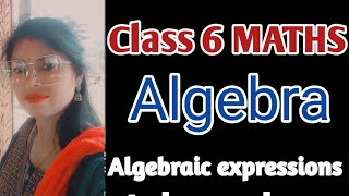 Algebra  Class 6 Maths Algebra  Algebraic Expressions  Chalo learn karte hai [upl. by Adnwahsal]