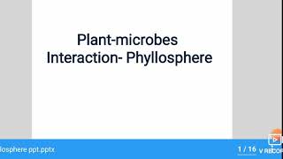 Phyllosphere [upl. by Toscano]