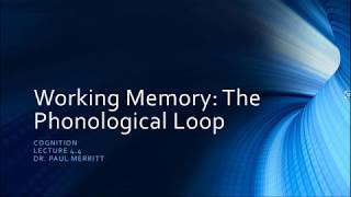 Cognition 4 4 Working Memory The Phonological Loop [upl. by Iek502]