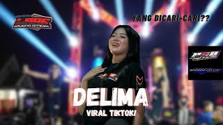 DJ DELIMA VIRAL TIKTOK BAS NGUK PARTY • LARE ARJUNO OFFICIAL [upl. by Sinned]