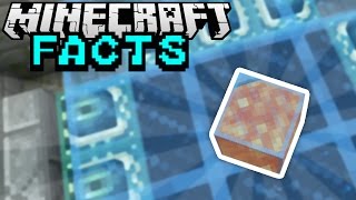 RÖNTGENGERÄT D  Minecraft Facts 63  ConCrafter [upl. by Brittni]