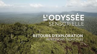 Retours dexploration  Impressions tropicales [upl. by Ellerad]