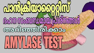 Amylase test malayalam  Pancreatic diseases  Digestive problems [upl. by Viquelia741]