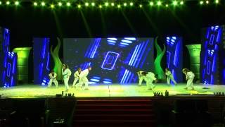 Dharmesh Dance Company EBCD 2017 Theme Taekwondo [upl. by Lodovico39]