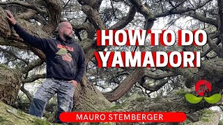 How to do Yamadori By Mauro Stemberger [upl. by Amling]