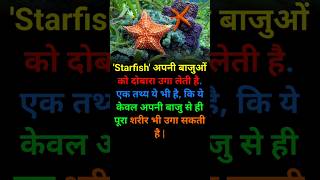 Starfish । Starfish fact facts shorts [upl. by Nairot]